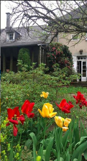 Отель Maison Lyre, Pompadour Arnac-Pompadour Экстерьер фото